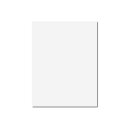 Hahnemühle DIAMANT Transparentpapier Einzelblatt...