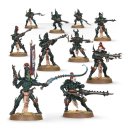 Warhammer 40,000: Drukhari Kabalenkrieger