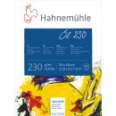 Hahnemühle Öl- und Acrylmalblock 230g/m²,...