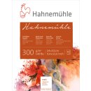 Hahnemühle Aquarellblock Echt-Bütten 300g/m², matt, 10 Blatt, 24 x 32 cm
