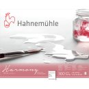 Hahnemühle Aquarellblock Harmony matt 300g/m²,...