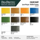 PanPastel 10 - Wildlife Painting mit Jason Morgan-Set