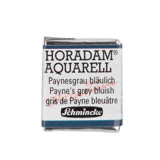 Paynesgrau bläulich